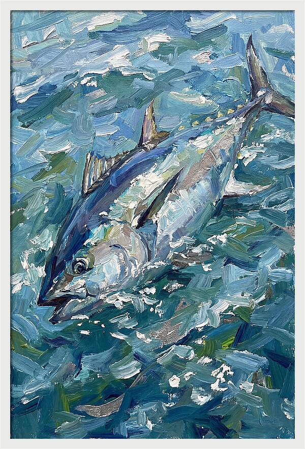 Bluefin Tuna Swimming Gracefully