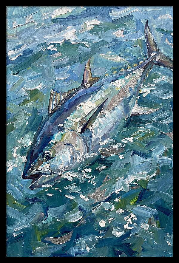 Bluefin Tuna Swimming Gracefully