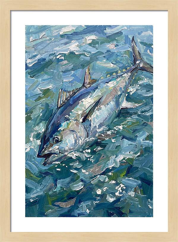 Bluefin Tuna Swimming Gracefully