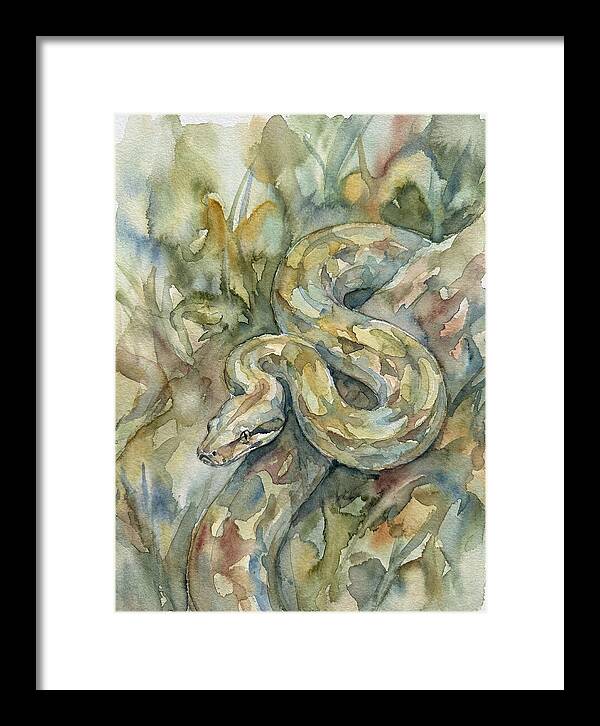 Boa Constrictor Among Foliage