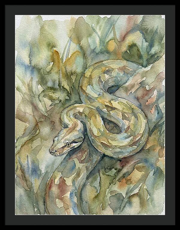 Boa Constrictor Among Foliage