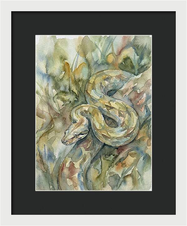 Boa Constrictor Among Foliage