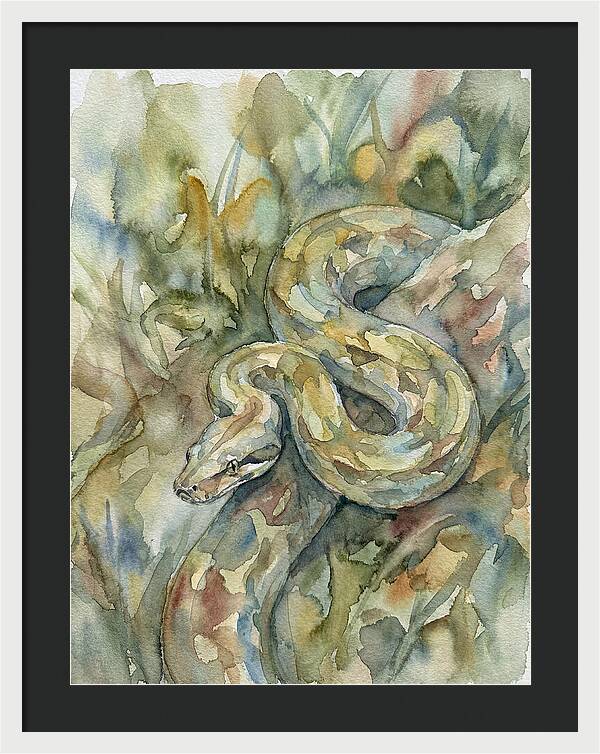 Boa Constrictor Among Foliage