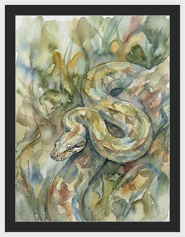 Boa Constrictor Among Foliage