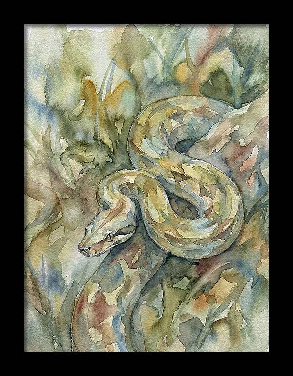 Boa Constrictor Among Foliage