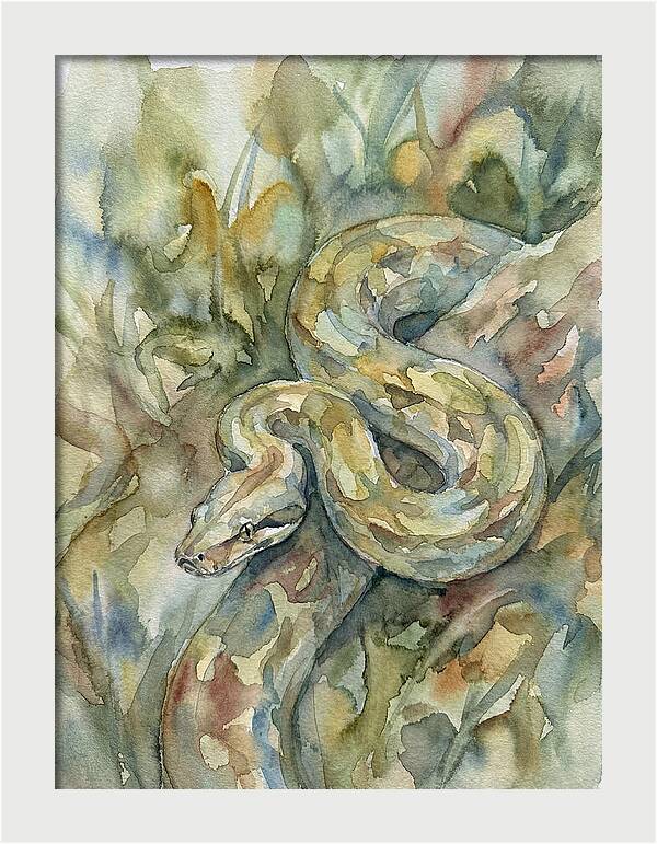 Boa Constrictor Among Foliage