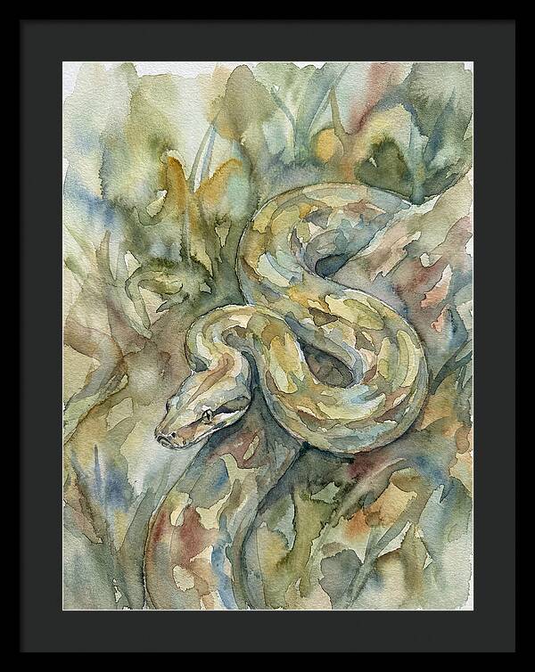 Boa Constrictor Among Foliage
