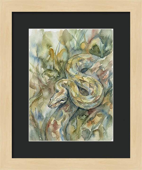 Boa Constrictor Among Foliage