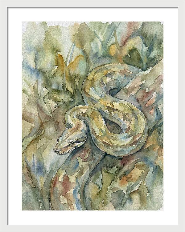 Boa Constrictor Among Foliage