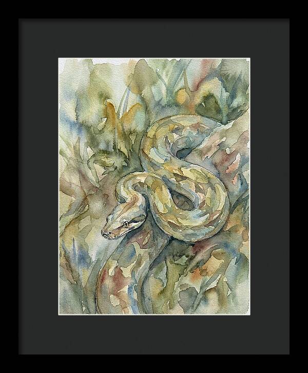 Boa Constrictor Among Foliage