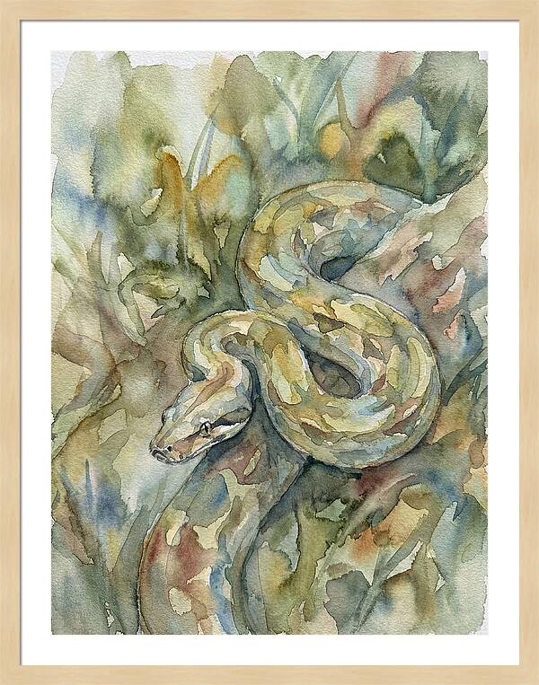 Boa Constrictor Among Foliage