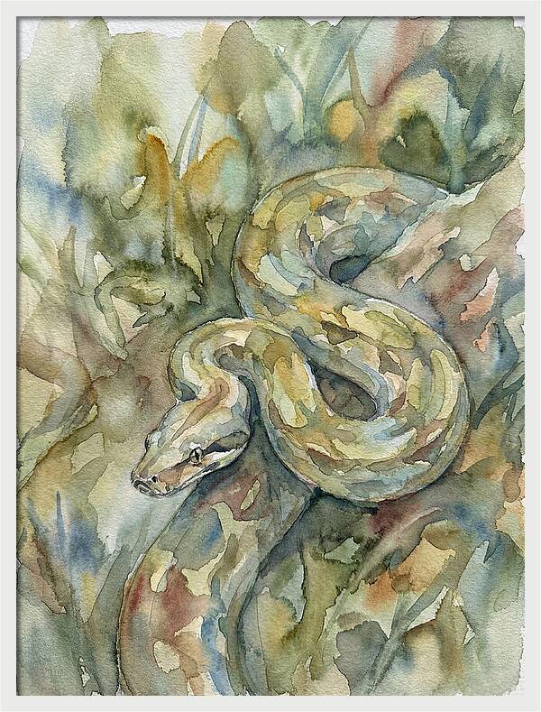 Boa Constrictor Among Foliage