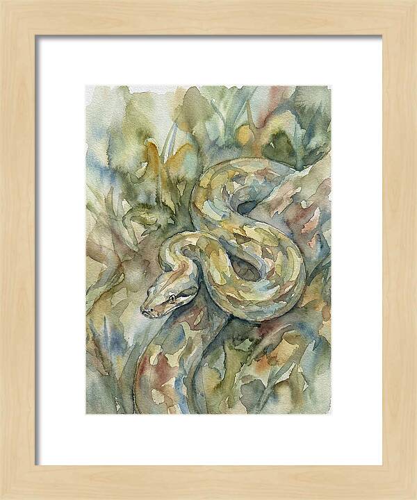 Boa Constrictor Among Foliage