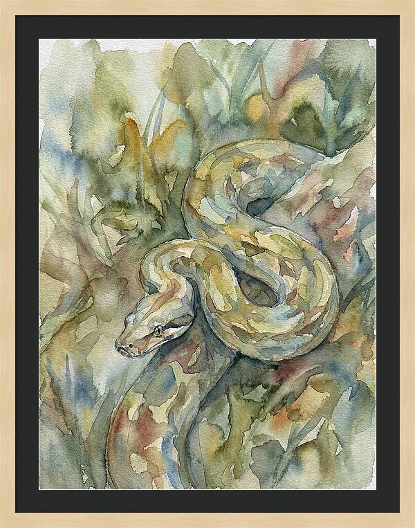 Boa Constrictor Among Foliage