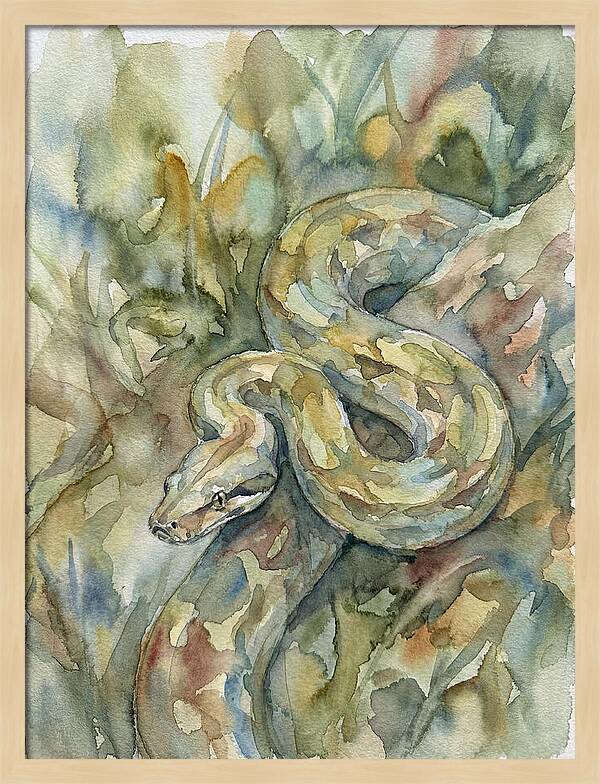 Boa Constrictor Among Foliage