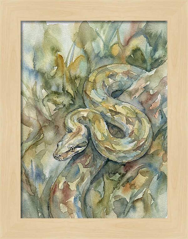 Boa Constrictor Among Foliage