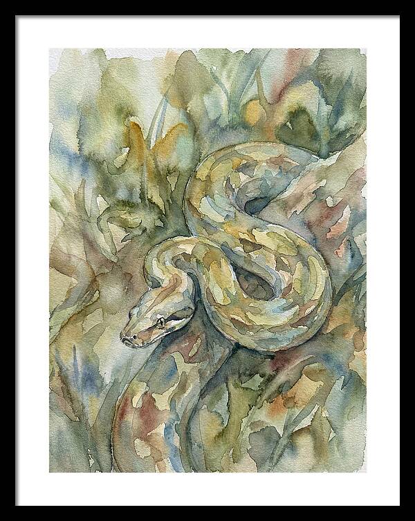 Boa Constrictor Among Foliage