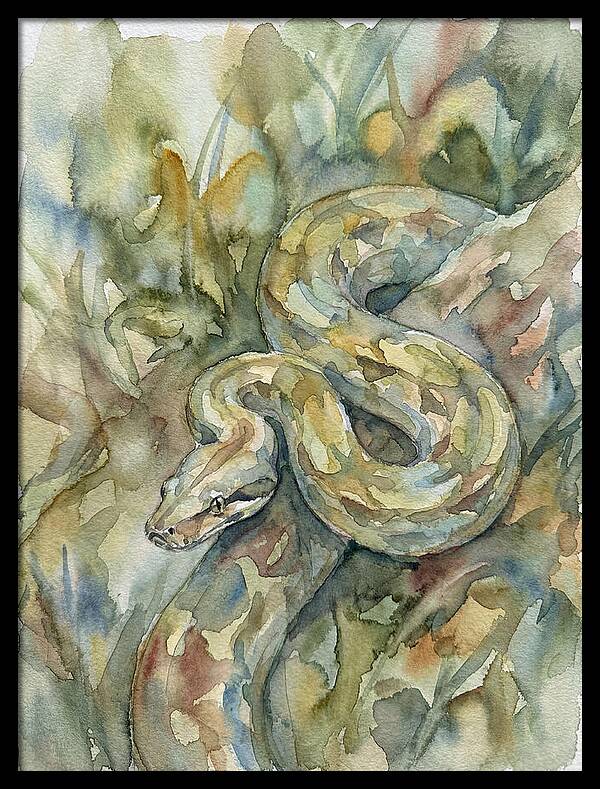 Boa Constrictor Among Foliage