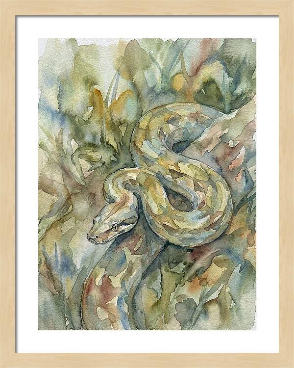 Boa Constrictor Among Foliage