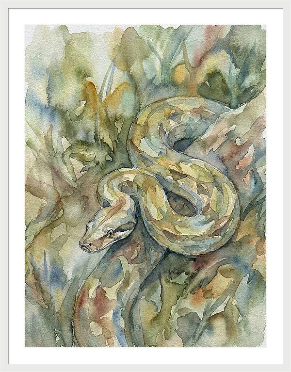 Boa Constrictor Among Foliage