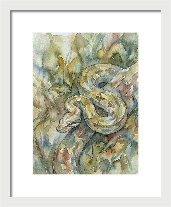 Boa Constrictor Among Foliage