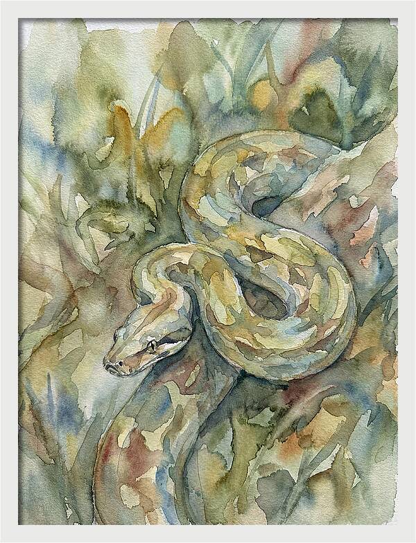 Boa Constrictor Among Foliage