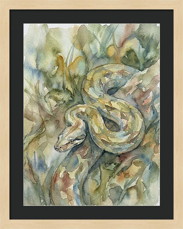 Boa Constrictor Among Foliage