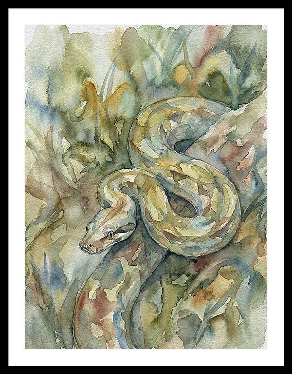 Boa Constrictor Among Foliage