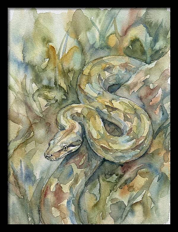 Boa Constrictor Among Foliage
