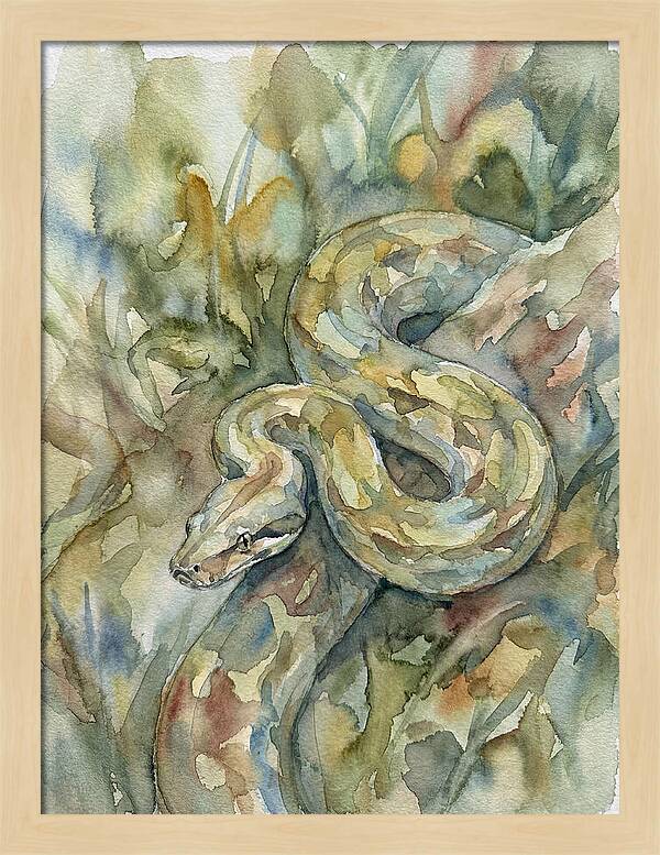 Boa Constrictor Among Foliage