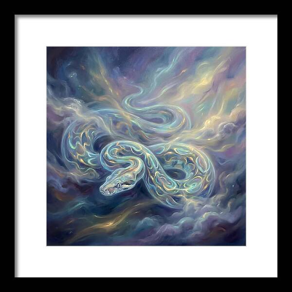 Boa Constrictor