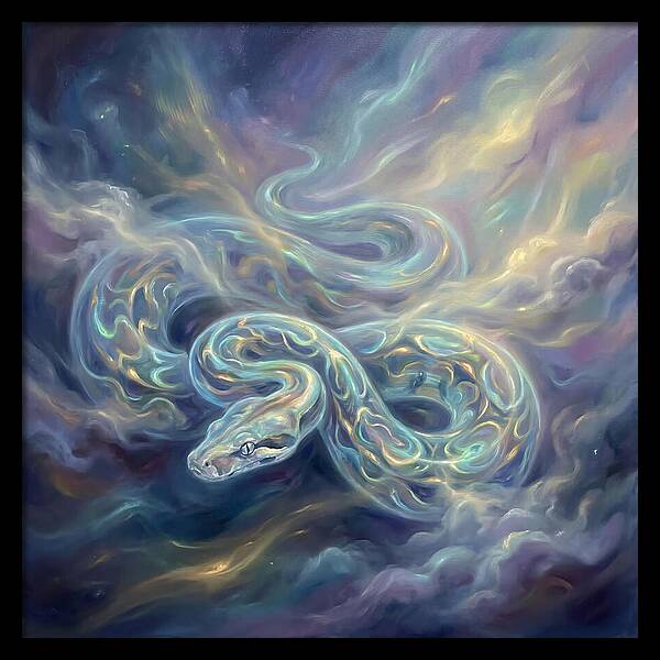Boa Constrictor