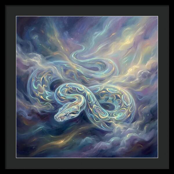 Boa Constrictor