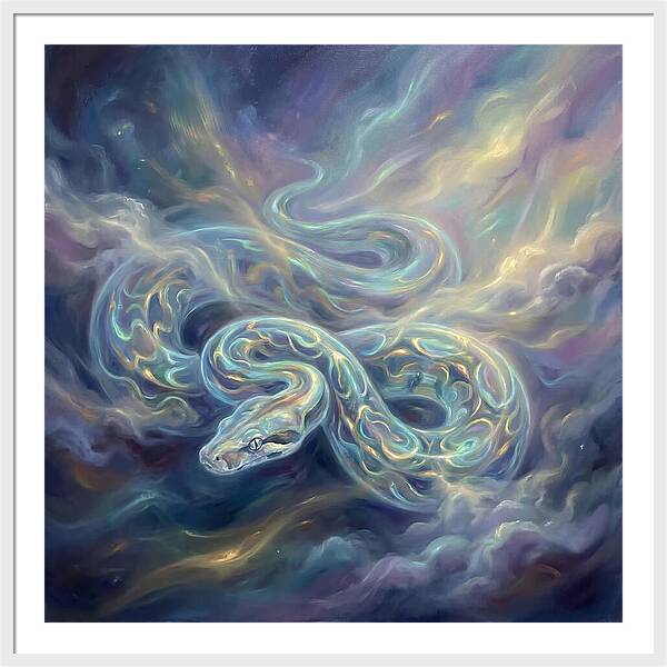 Boa Constrictor