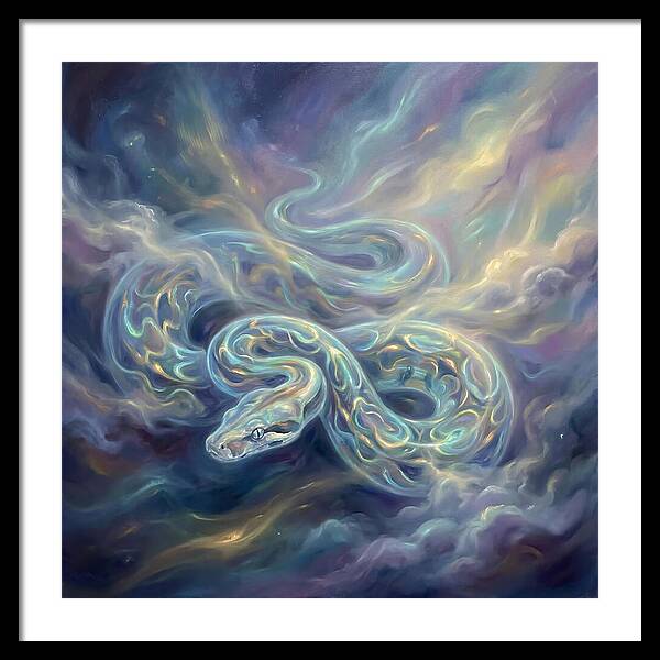 Boa Constrictor