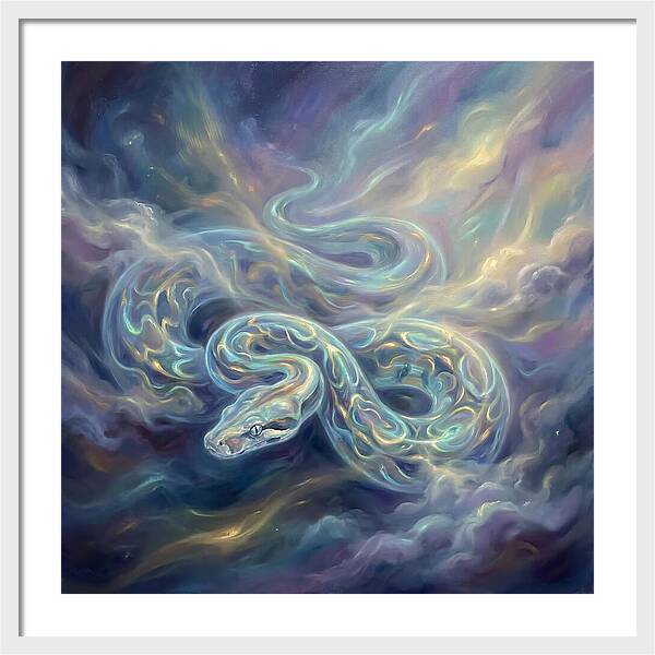 Boa Constrictor