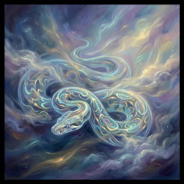 Boa Constrictor