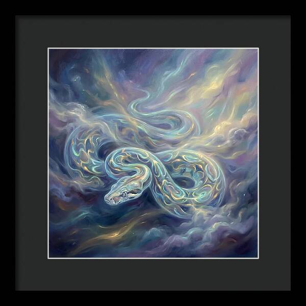 Boa Constrictor