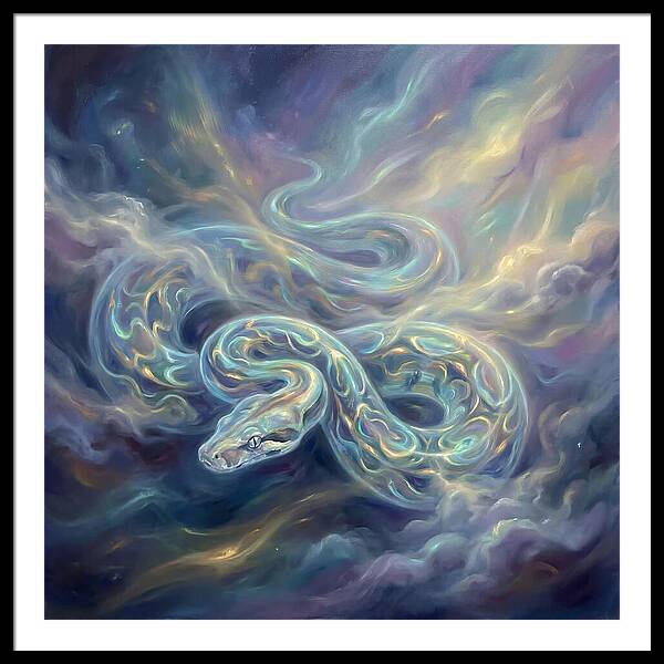 Boa Constrictor