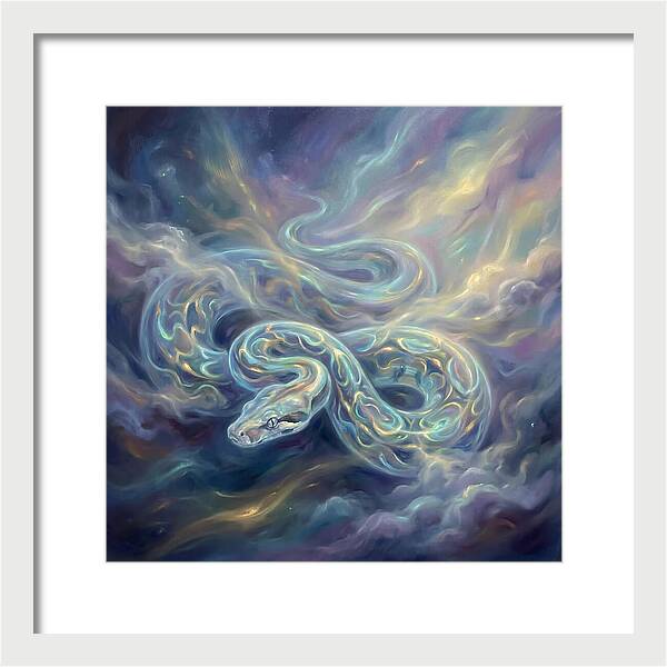 Boa Constrictor