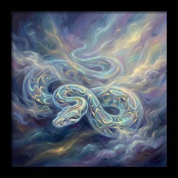 Boa Constrictor
