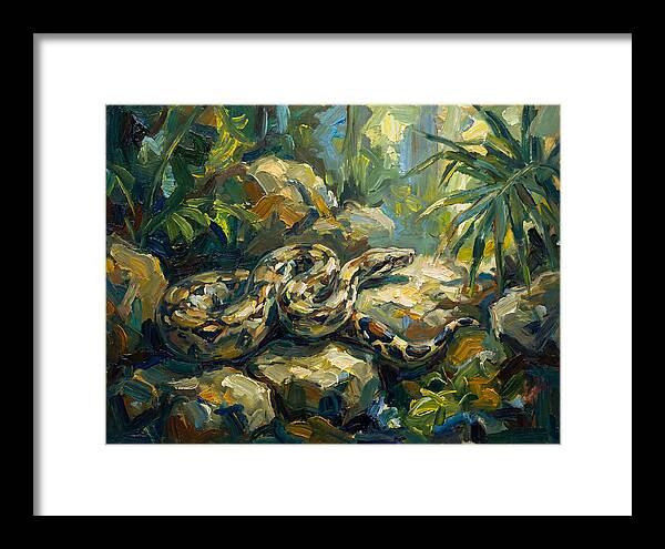 Boa Constrictor In Lush Habitat