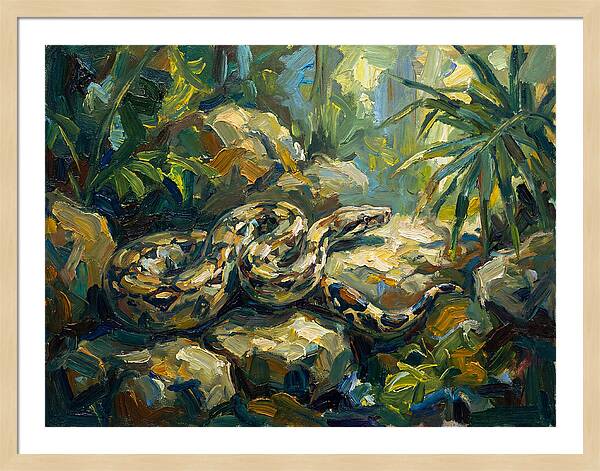 Boa Constrictor In Lush Habitat