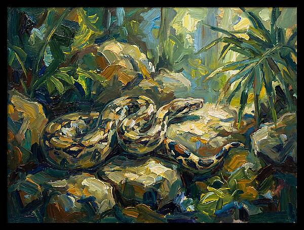 Boa Constrictor In Lush Habitat