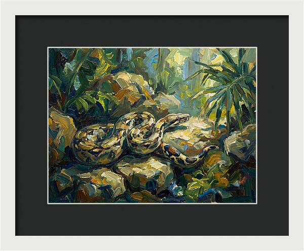 Boa Constrictor In Lush Habitat