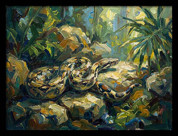 Boa Constrictor In Lush Habitat