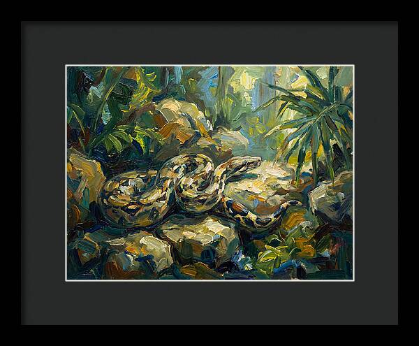 Boa Constrictor In Lush Habitat