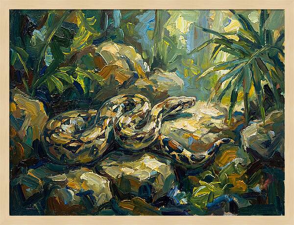 Boa Constrictor In Lush Habitat