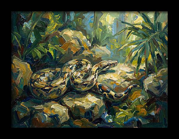 Boa Constrictor In Lush Habitat