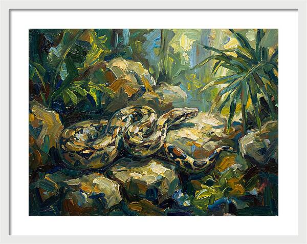 Boa Constrictor In Lush Habitat